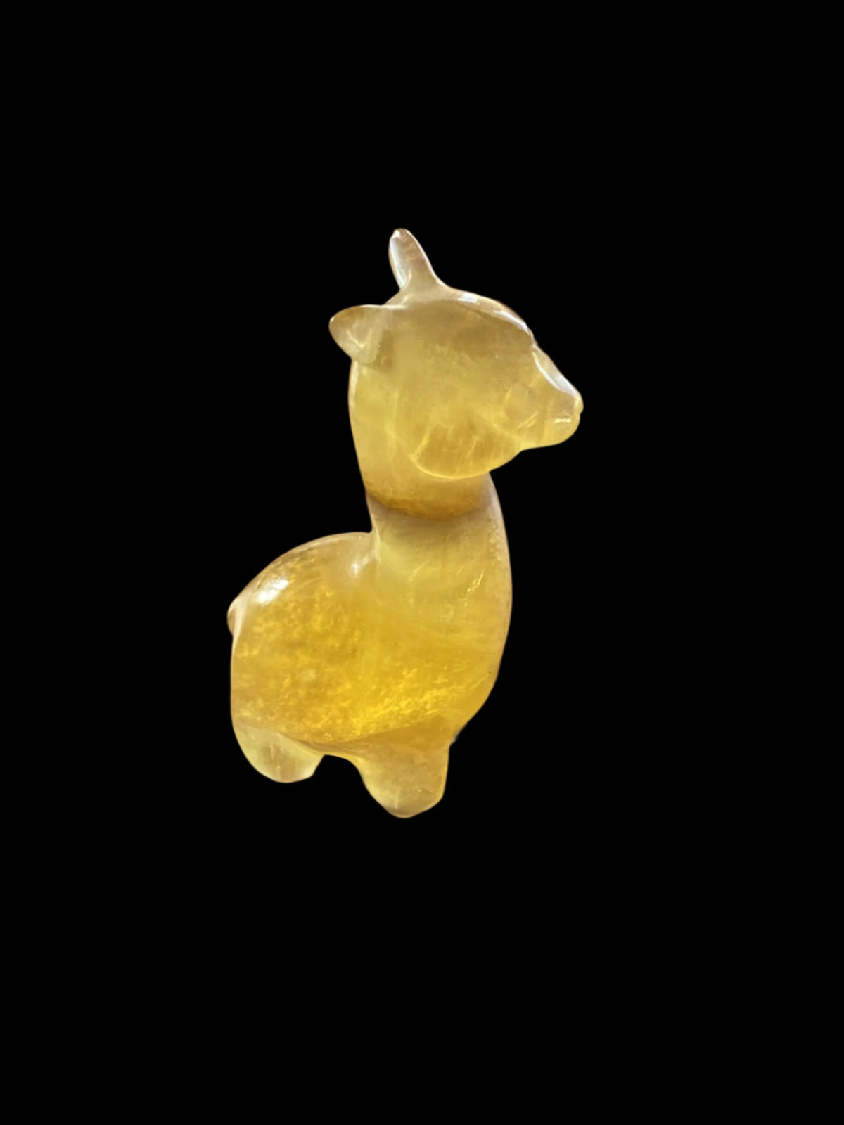 Yellow Fluorite Alpaca