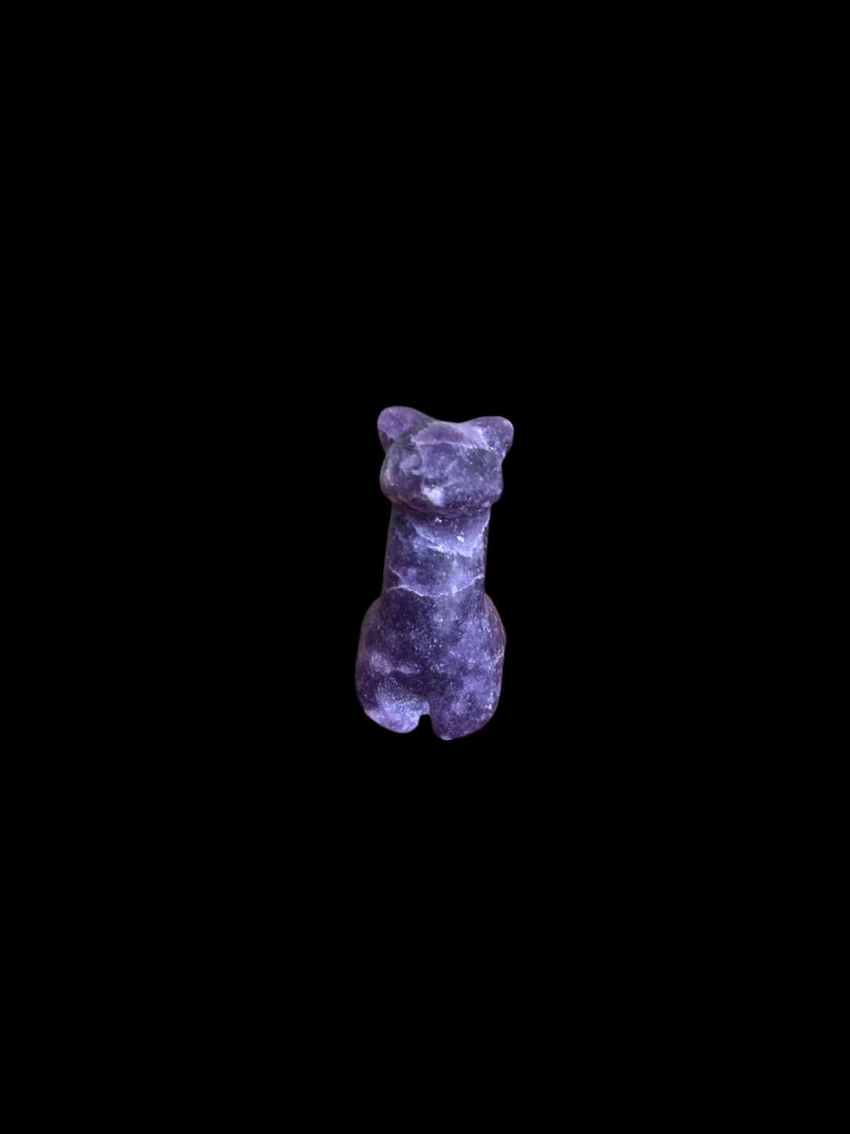Mini Alpaca