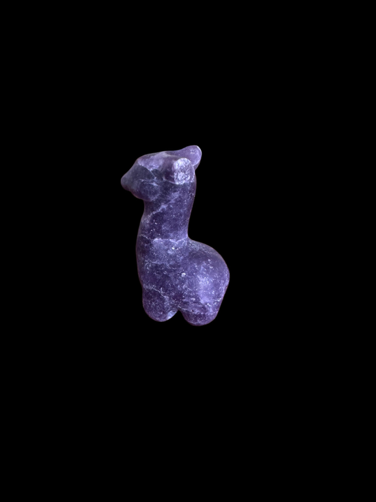 Mini Alpaca