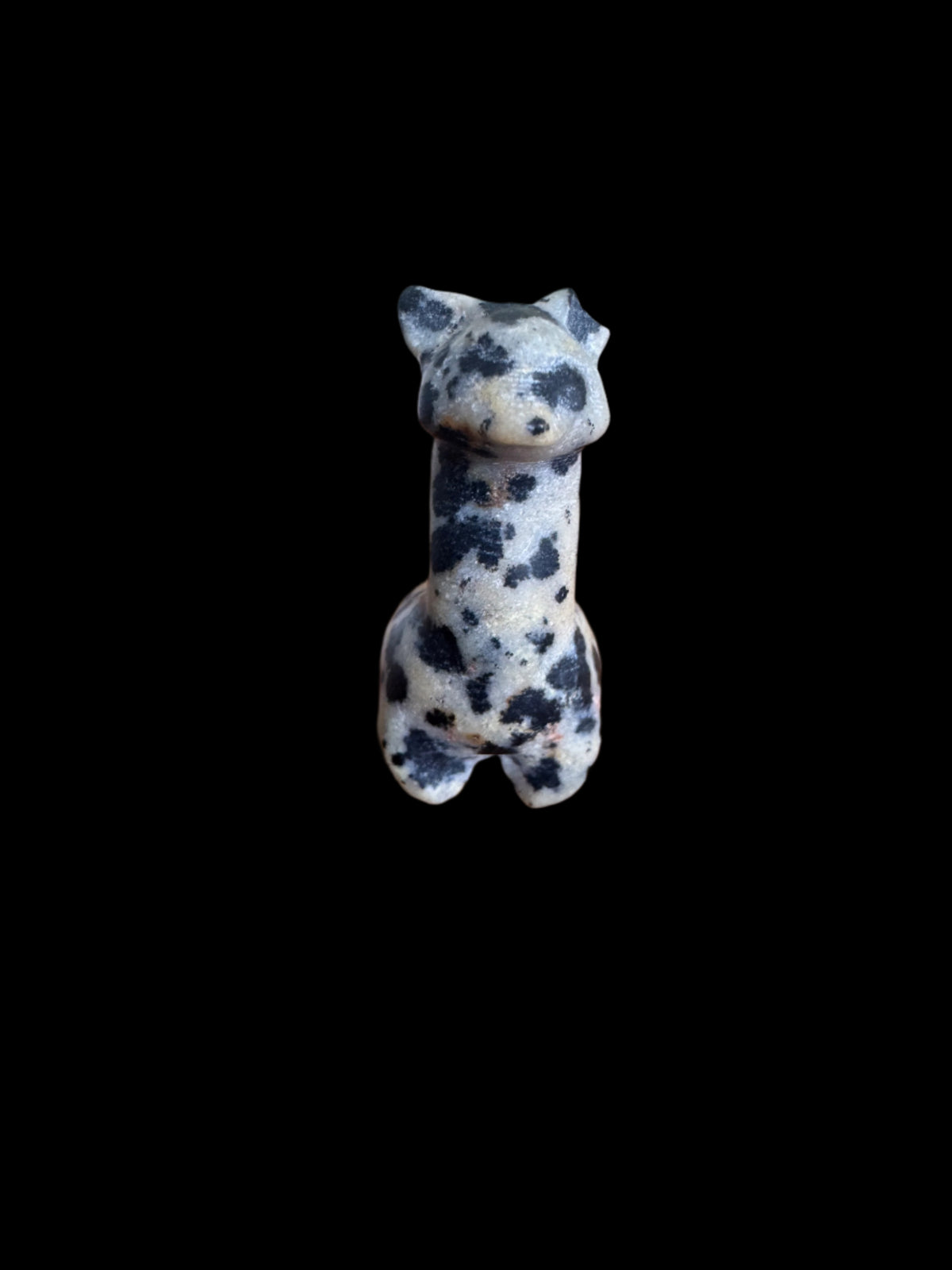 Mini Alpaca