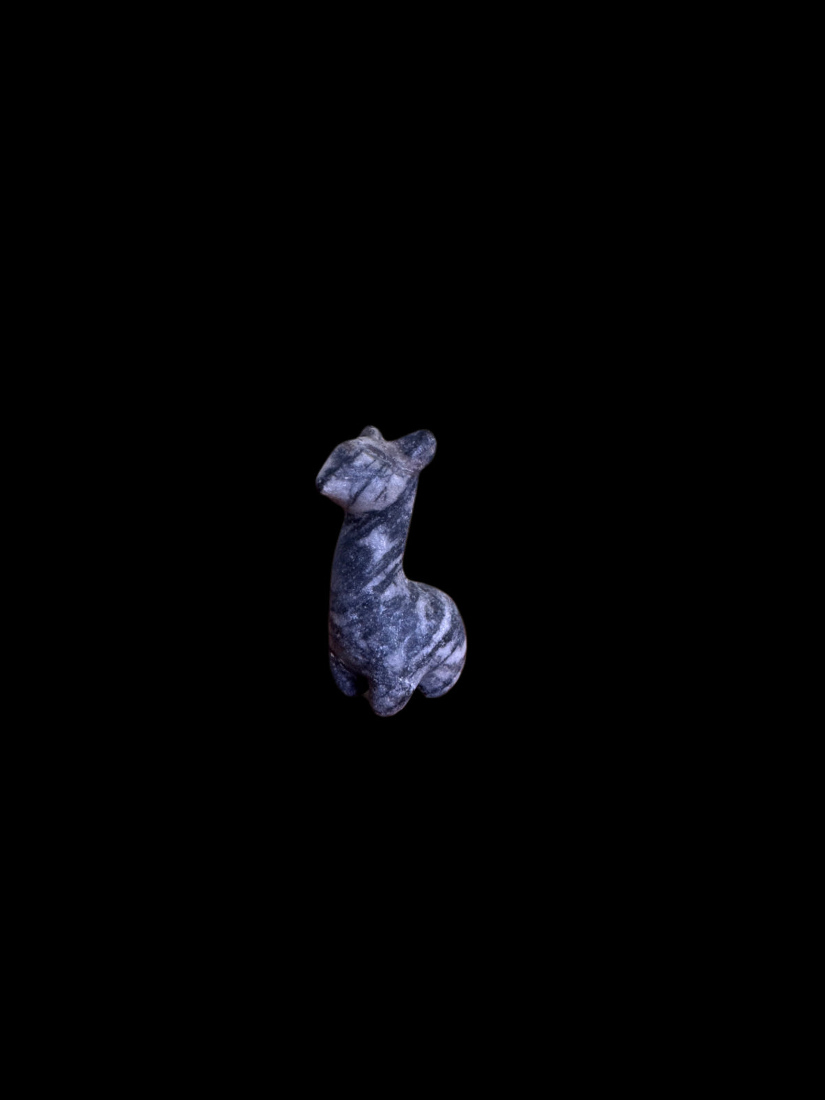 Mini Alpaca