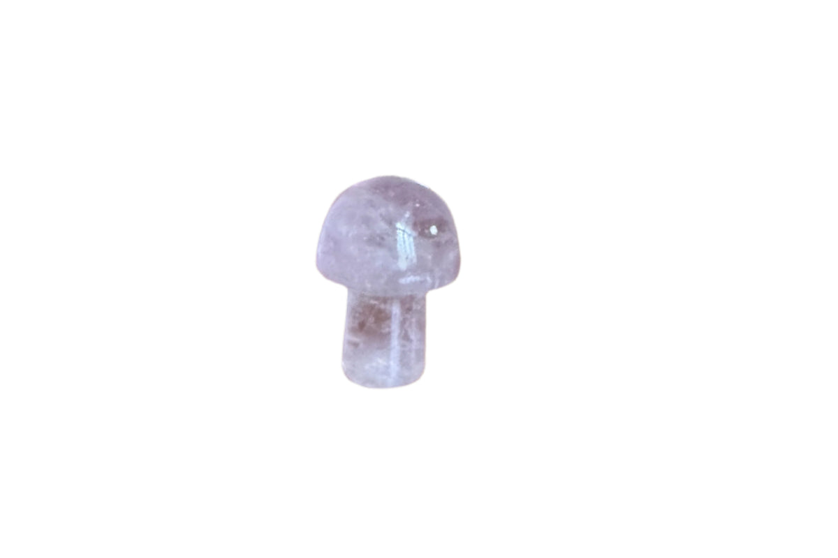 Mini Mushrooms - Selection of Crystals