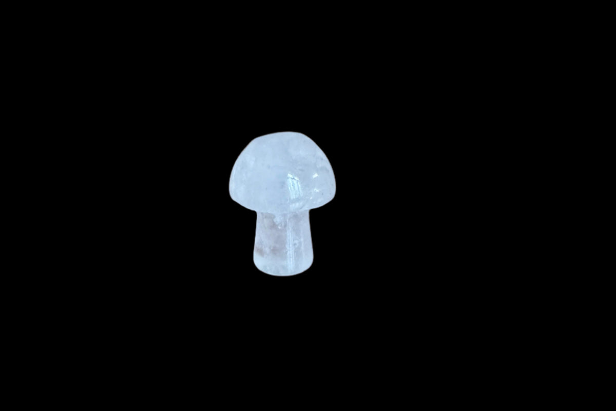 Mini Mushrooms - Selection of Crystals