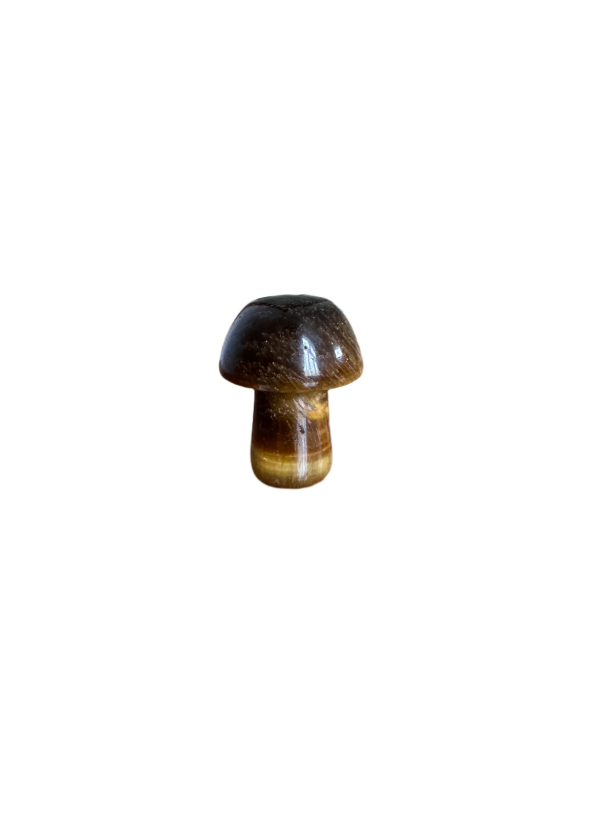 Mini Mushrooms - Selection of Crystals