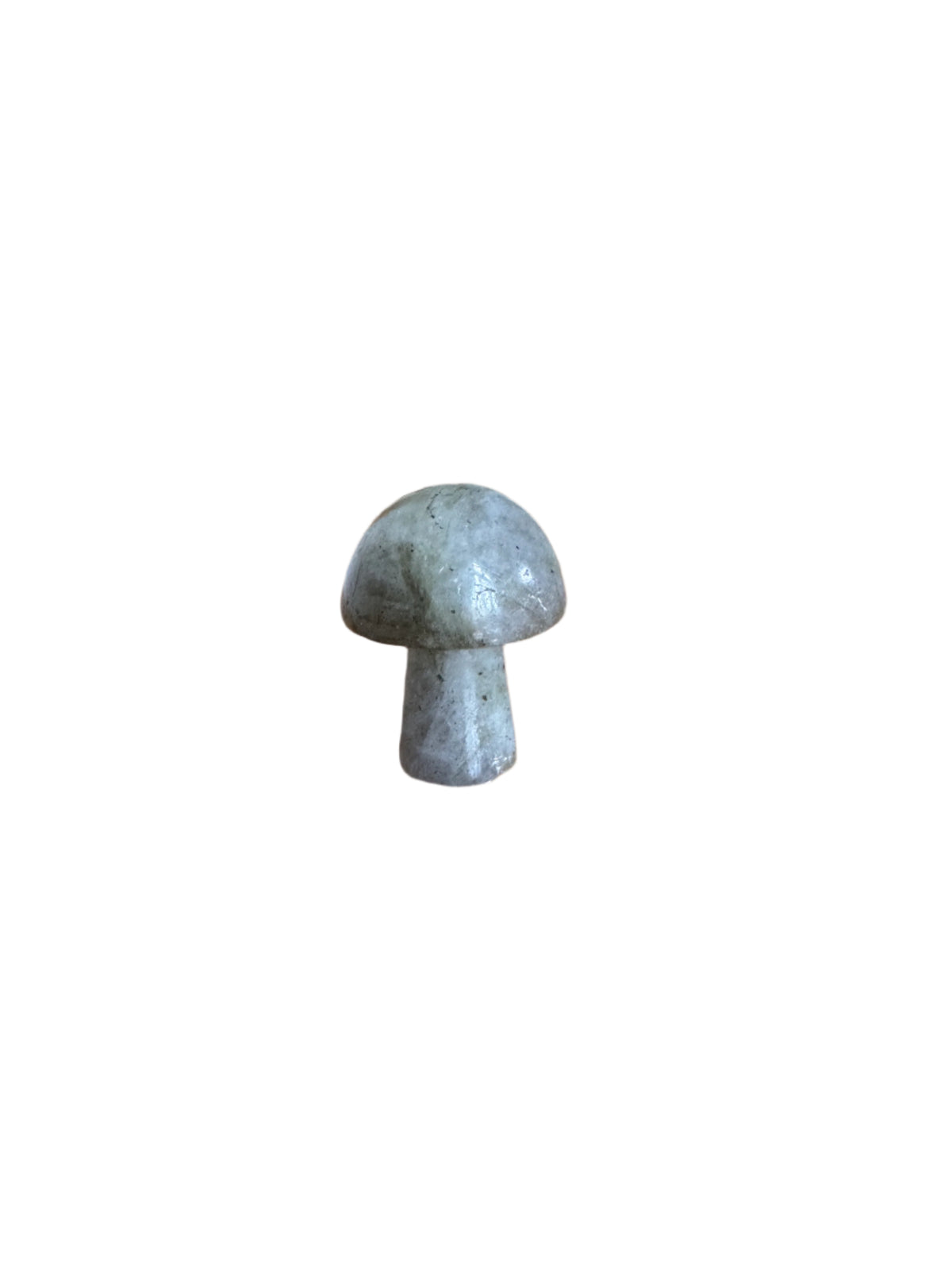 Mini Mushrooms - Selection of Crystals