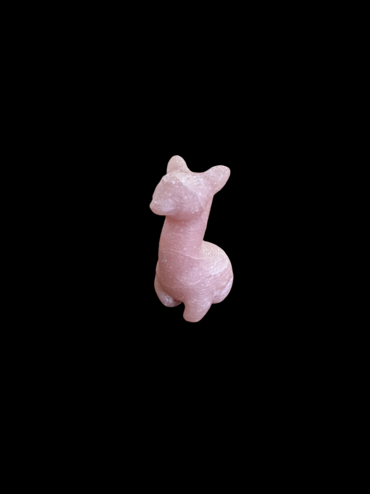 Mini Alpaca