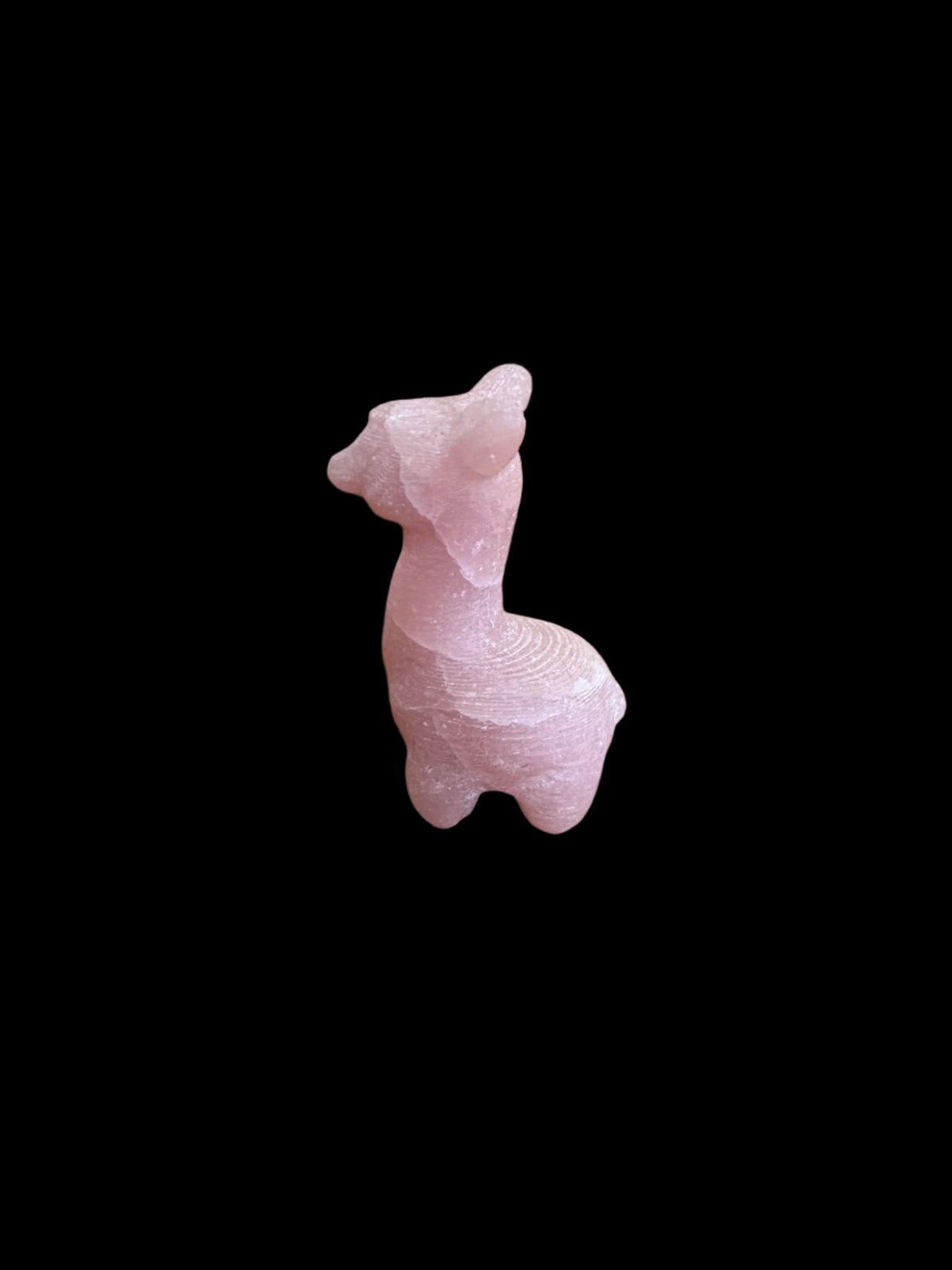 Mini Alpaca