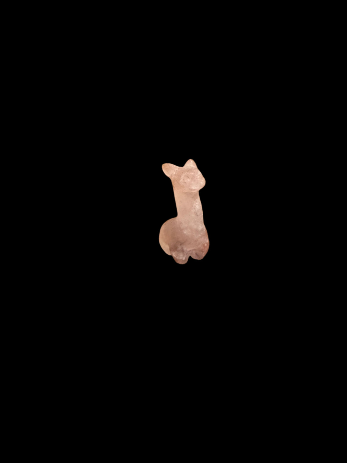 Mini Alpaca
