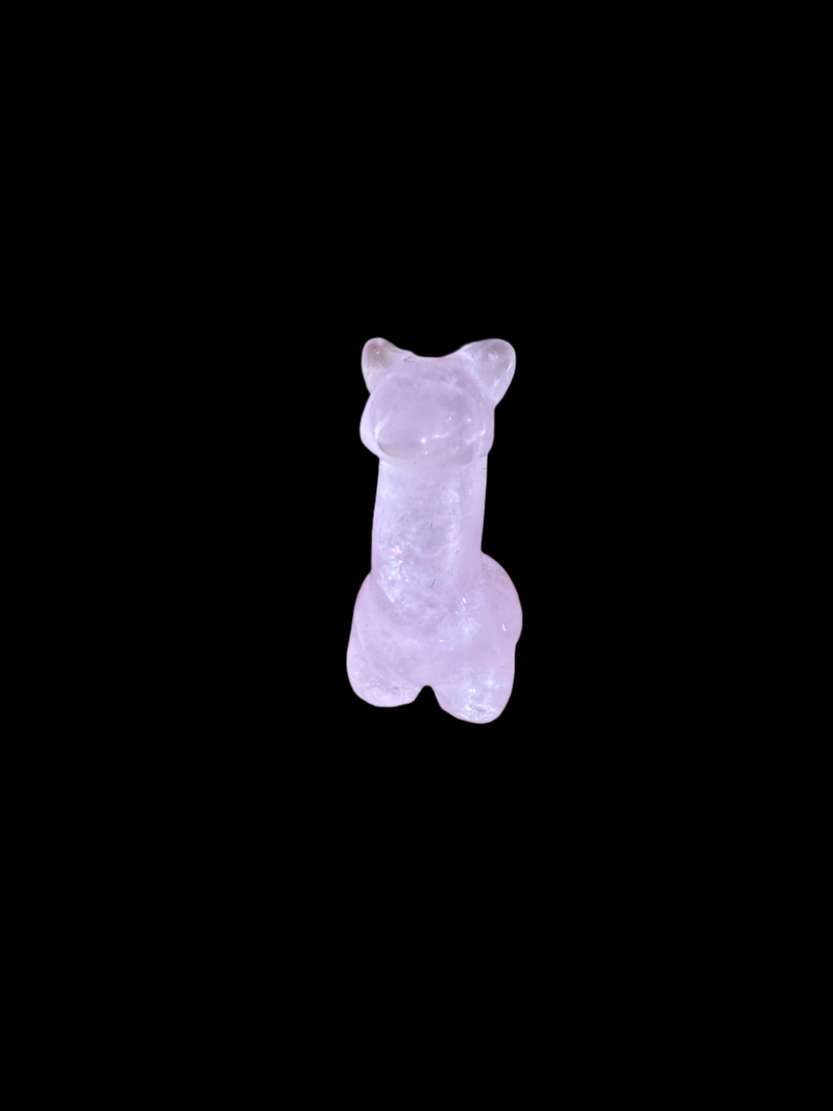 Mini Alpaca