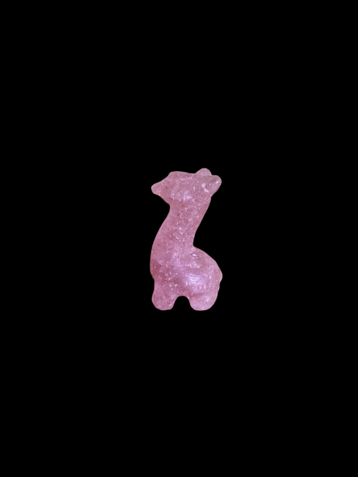 Mini Alpaca